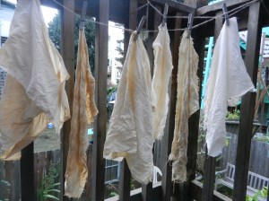 Slightly different shades of tans and creams on six sets of cotton drying on a line outside.